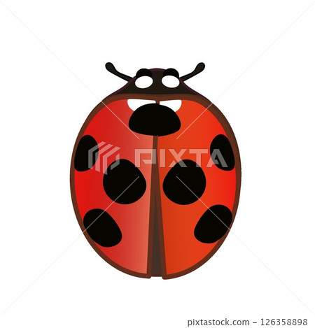 瓢蟲插圖 126358898