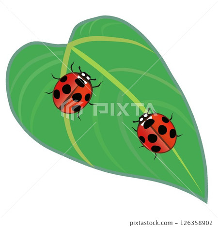 瓢蟲和葉子的插圖 126358902