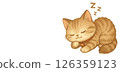 午睡小貓，可愛的小貓，插圖，白色背景，影印空間 126359123