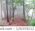 Mt. Takao ridge fog 126359212