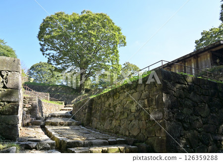 大田區漫步:金山城遺址、正門、圍牆、大田區金山町 大田區漫步:金山城遺址、正門、圍牆、大田區金山町 126359288