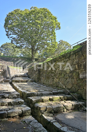 大田區漫步:金山城遺址、正門、圍牆、大田區金山町 大田區漫步:金山城遺址、正門、圍牆、大田區金山町 126359289