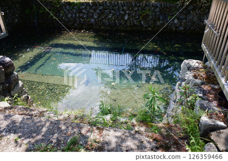 Miyagawa Purification Pond in Tado Town, Mie Prefecture Miyagawa Purification Pond in Tado Town, Mie Prefecture 126359466