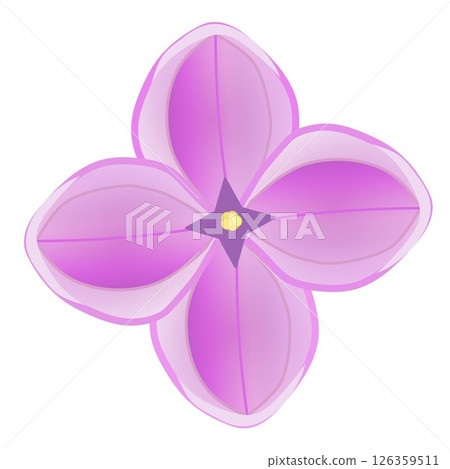 Lilac flower illustration Lilac flower illustration 126359511