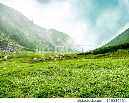 千疊敷捲曲 126359561