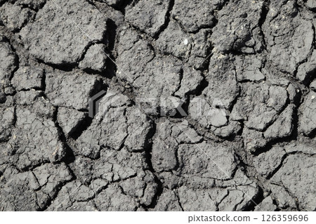 Texture of the dried black earth. 126359696