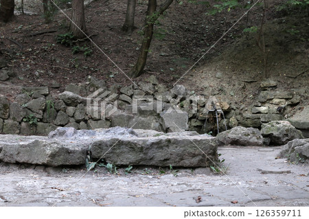 A spring among the stones in a fobulous forest. 126359711