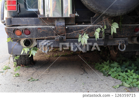 Abandoned SUV is overgrown with girlish grapes. Abandoned SUV is overgrown with girlish grapes. 126359715