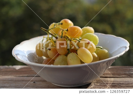A bunch of amber grapes in a white plate. A bunch of amber grapes in a white plate. 126359727