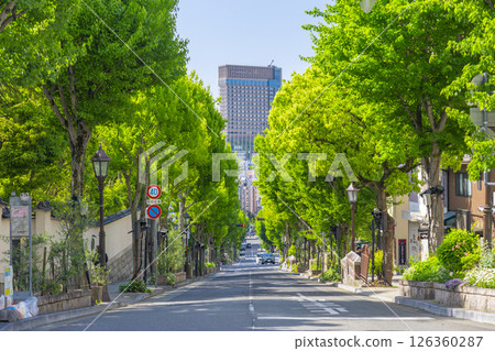 神戶北野異人館街：美麗的北野坂街道，綠樹成蔭 126360287