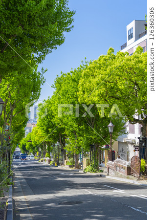 Kobe Kitano Ijinkan-gai: Beautiful Kitanozaka street lined with fresh greenery 126360306
