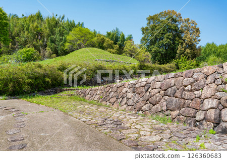 Marcoyama Tomb, Asuka Village, Nara Prefecture Marcoyama Tomb, Asuka Village, Nara Prefecture 126360683