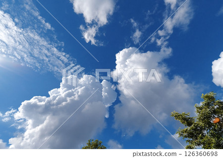 Seasonal sunny weather scenery 126360698