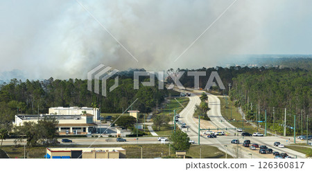 View from above of lagre wildfire burning severely in North Port city, Florida. Hot flames in forest with toxic smoke polluting atmosphere View from above of lagre wildfire burning severely in North Port city, Florida. Hot flames in forest with toxic smoke polluting atmosphere 126360817