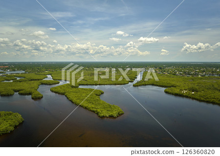 View from above of Florida everglades with green vegetation between ocean water inlets. Natural habitat of many tropical species in wetlands View from above of Florida everglades with green vegetation between ocean water inlets. Natural habitat of many tropical species in wetlands 126360820