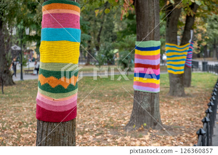 Trees wearing colorful knitted scarves in autumn park. Care about nature and environment concept. 126360857