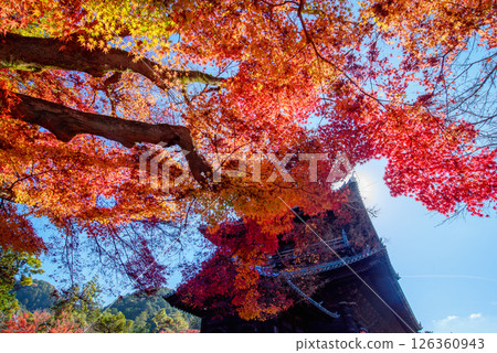 被紅葉包圍的南禪寺三門 被紅葉包圍的南禪寺三門 126360943