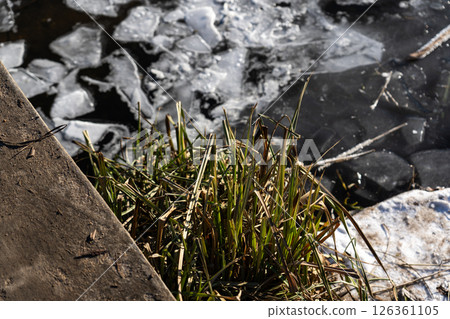 Frozen pieces of ice in the water. Frozen river Frozen pieces of ice in the water. Frozen river 126361105