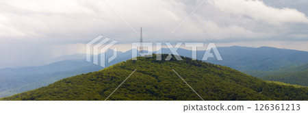 Smokey mountains summer woods. Appalachian mountains in North Carolina with fresh green forest trees in summertime season. Beauty of USA nature 126361213