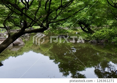 花園沉睡 126361271