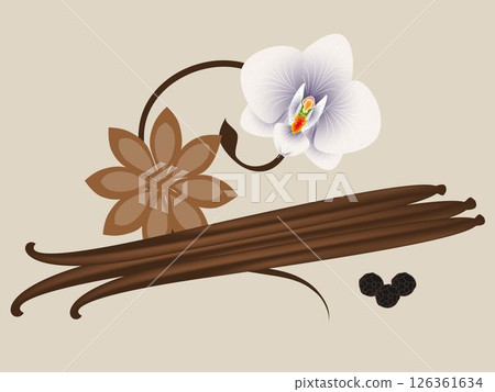 Vanilla pods and orchids and pepper on a beige background. Vanilla pods and orchids and pepper on a beige background. 126361634