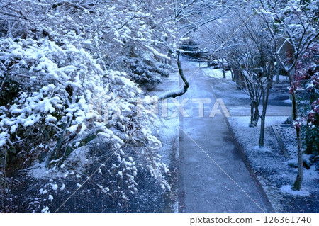 香玉光明寺的雪路 126361740