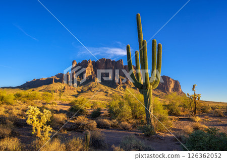 Sunset at Superstition Mountains and Saguaro Cacti, Lost Dutchman State Park 126362052