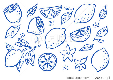 Charming and Vibrant Blue Line Art Lemon Illustrations for Creative Projects and Decor 126362441