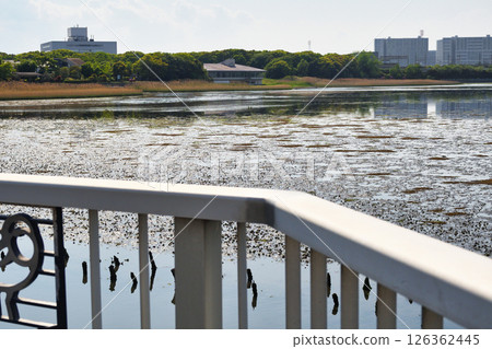Yatsu tidal flat (Narashino City, Chiba Prefecture) 126362445