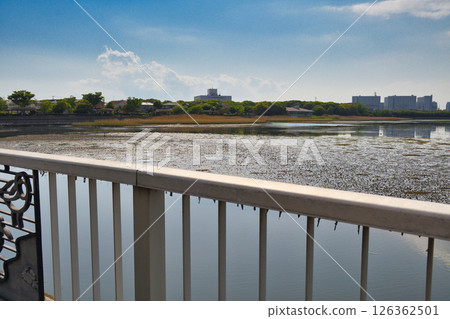 Yatsu tidal flat (Narashino City, Chiba Prefecture) Yatsu tidal flat (Narashino City, Chiba Prefecture) 126362501