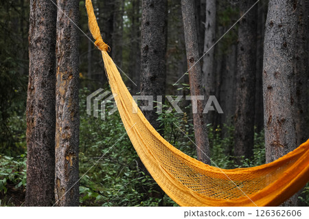 Woven Orange Hammock In A Silent Mountain Forest Woven Orange Hammock In A Silent Mountain Forest 126362606