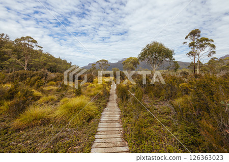 Overland Track Landscape in Tasmania Australia Overland Track Landscape in Tasmania Australia 126363023