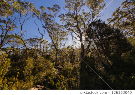 Du Cane Range View in Tasmania Australia Du Cane Range View in Tasmania Australia 126363040