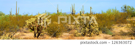 Early Winter Landscape Sonoran Desert Arizona Early Winter Landscape Sonoran Desert Arizona 126363072