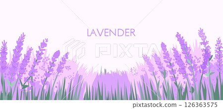 Lavender field. Bright vector summer poster Lavender field. Bright vector summer poster 126363575