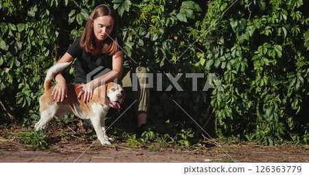Young veterinarian woman examining a Beagle dog outdoors, gently stroking its fur while surrounded by a lush green hedge on a bright and sunny summer day Young veterinarian woman examining a Beagle dog outdoors, gently stroking its fur while surrounded by a lush green hedge on a bright and sunny summer day 126363779