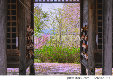[Choushoji Temple] View from the Niomon Gate [Nobusaracho, Nagano City] 126363985