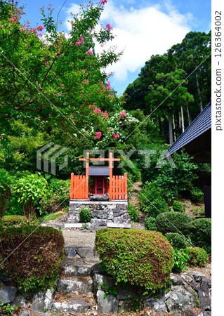 Saikoji Temple (Shiga Prefecture) Saikoji Temple (Shiga Prefecture) 126364002