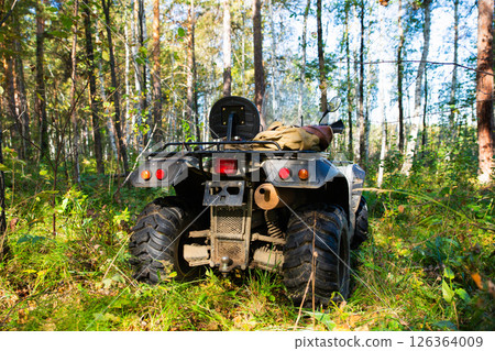 quad bike or ATV among trees on a sunny day in the forest. All Terrain Vehicle or quadbike or ATV, rear view 126364009