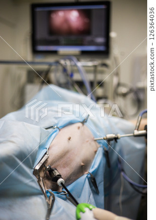Veterinarian performing laparoscopic surgery on a dog, using specialized instruments and a monitor displaying internal organs, ensuring minimally invasive procedure in modern veterinary clinic. 126364036