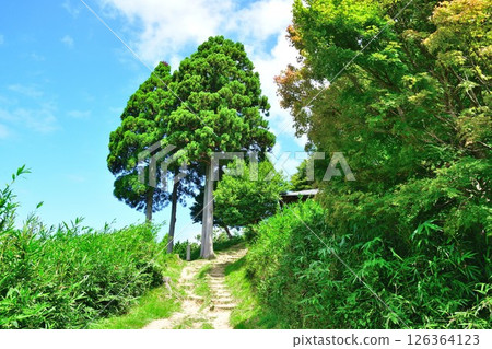 濕嶽山道（滋賀縣） 126364123