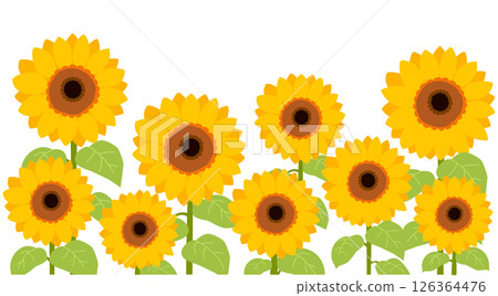 矢量圖的許多向日葵排成一排 126364476