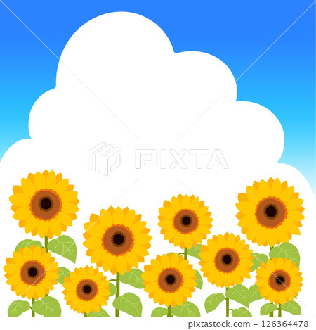Sunflower illustration 2 with copy space on blue sky and clouds 126364478