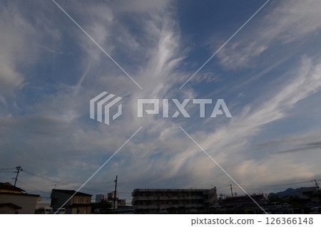 A rare cirrus variant of the radial cloud. 126366148