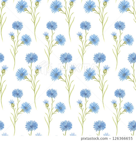 Seamless watercolor pattern with blue cornflower flowers on a white background. Vintage-style botanical pattern, floral wallpaper, fabric pattern, wrapping paper, natural-style interior decoration. 126366655