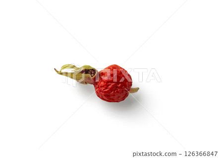 dried rose hip isolated on white background 126366847