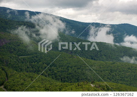 Nature landscape of Tennessee Appalachian mountains. Mountain forest with green canopies in summer rain season 126367162
