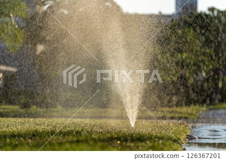 Lawn grass watering with automated sprinkler. Keeping green backyard during dry season 126367201