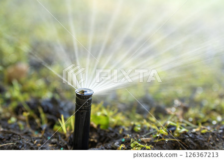 Irrigation automatic sprinkler for lawn watering. Keeping grass green during dry season 126367213