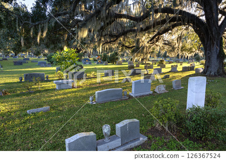 Graveyard burial place with many tombstones at sunset. Cemetery under southern oak trees on green grass in Orlando, Florida Graveyard burial place with many tombstones at sunset. Cemetery under southern oak trees on green grass in Orlando, Florida 126367524
